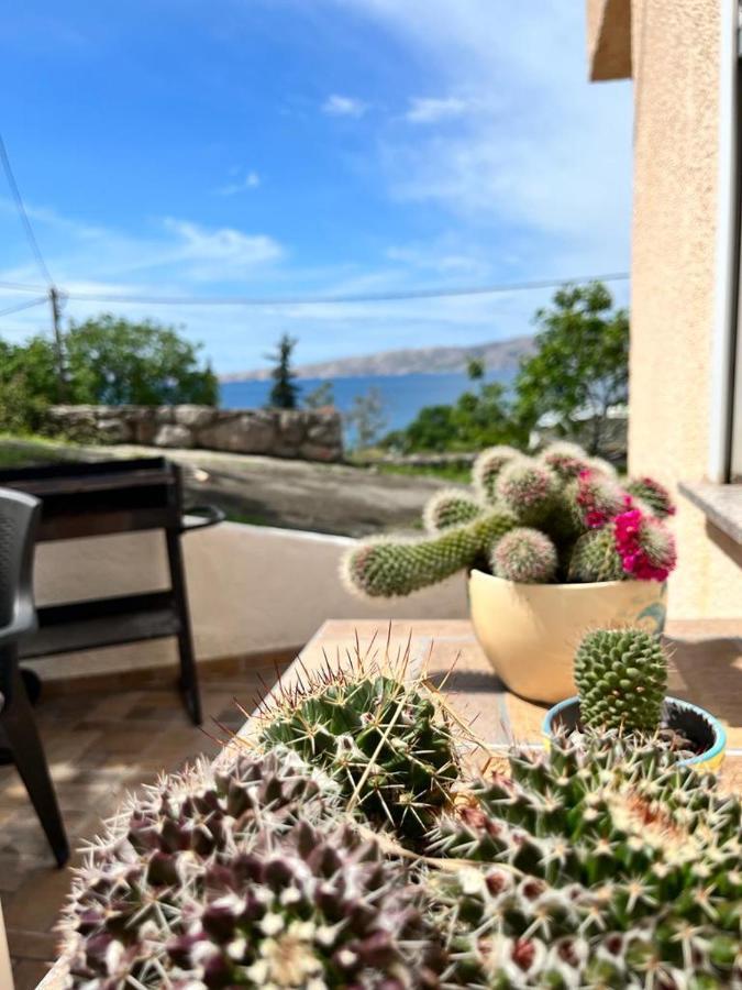Apartman Luka Klenovica Eksteriør billede